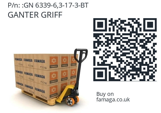   GANTER GRIFF GN 6339-6,3-17-3-BT